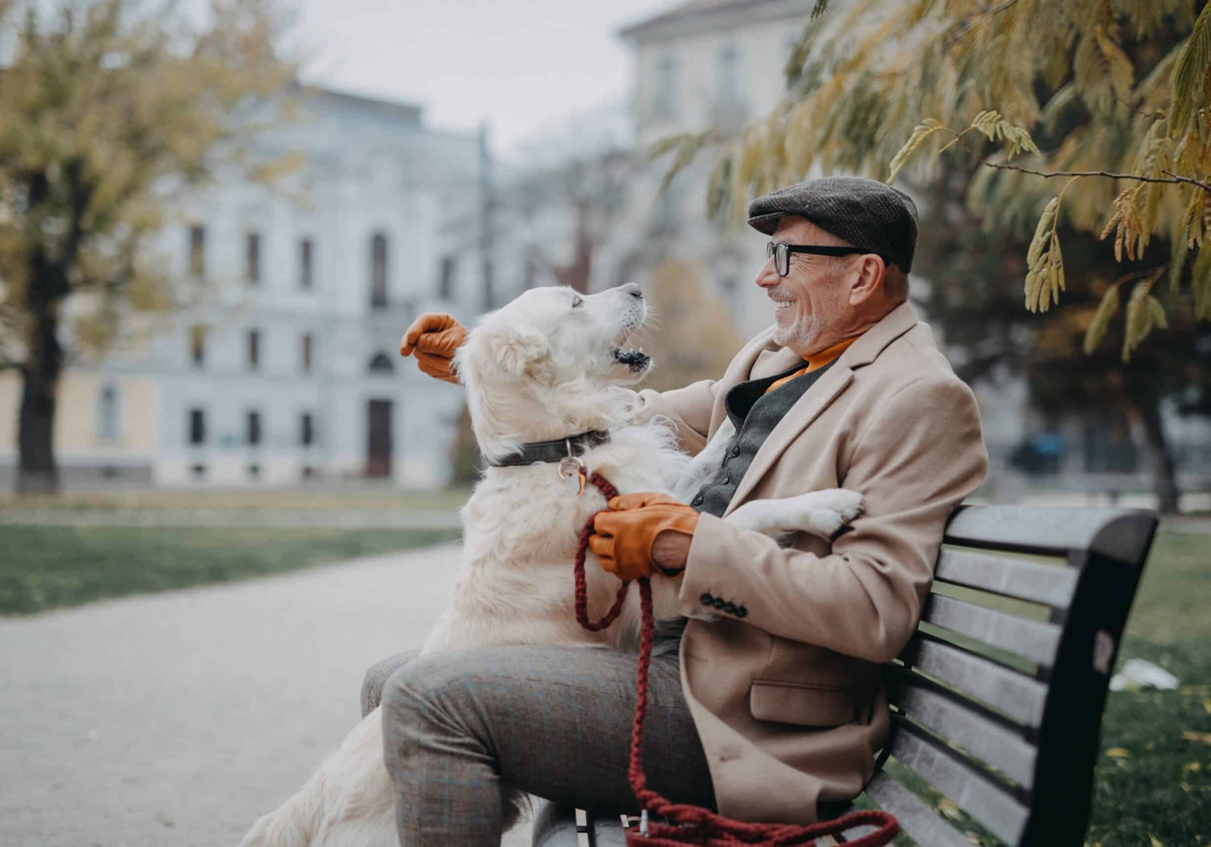 Happy,Senior,Man,Sitting,On,Bench,And,Resting,During,Dog